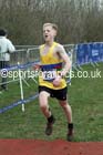 Mens under-20s Inter Counties Cross Country, Prestwold Hall, Loughborough. Photo: David T. Hewitson/Sports for All Pics